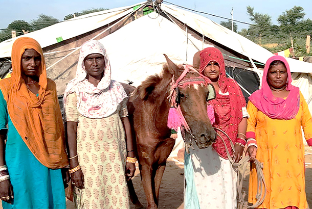 Insurance schemes in rural India are protecting women and their livelihoods. ©Brooke India