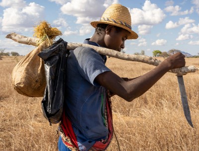 A young man carrying farm tools leaves his village to give a hand in a nearby hamlet. Beraketa, Katrafy South district, Madagascar, October 2019. Reuters/Marion Joly/Hans Lucas