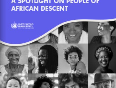 How to effectively implement the right to participate in public affairs: A spotlight on people of African descent