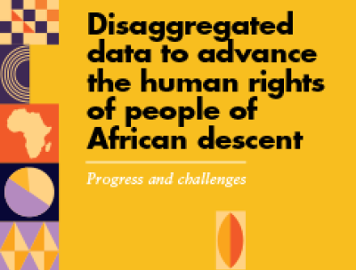 Disaggregated data to advance the human rights of people of African descent