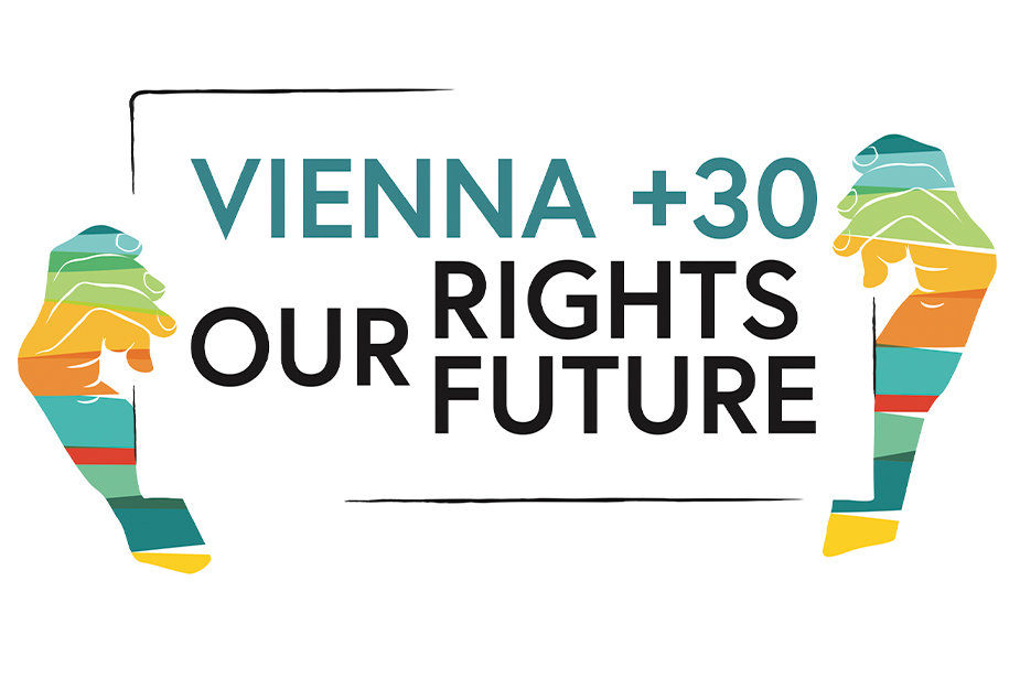 June marks the 30th anniversary of the Vienna Declaration and Programme of Action.