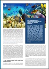 Cover: Key human rights considerations on the impact of seabed mining