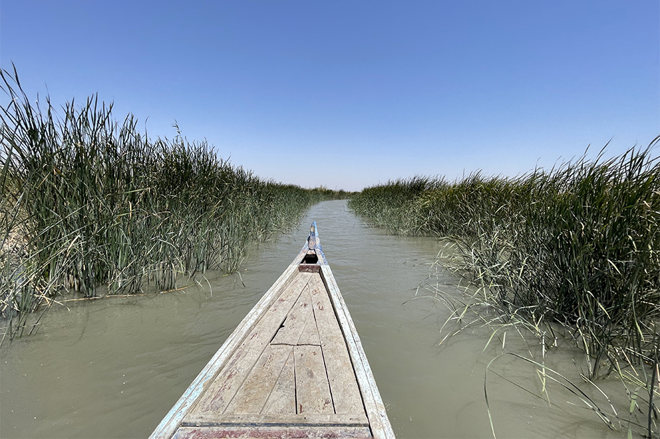 A boat navigates through a waterway lined with reeds in Iraq’s marshes © OHCHR/Anthony Headley