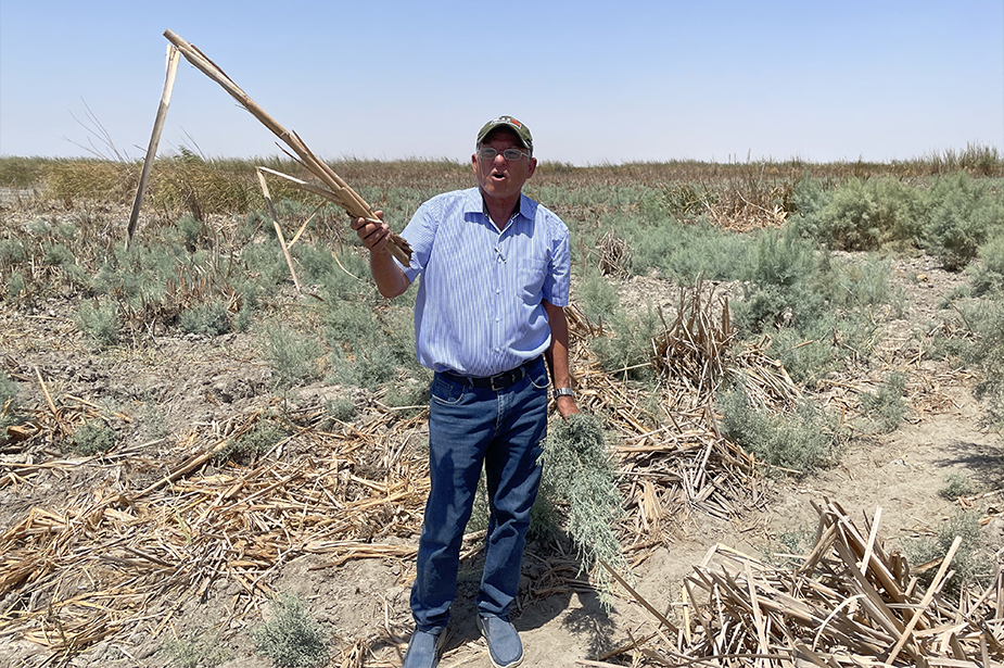 Environmentalist Jassim Al-Asadi stands on former wetlands © OHCHR/Anthony Headley