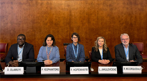 group photo of the Working Group on Business and Human Rights