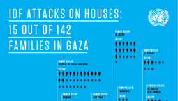 IDF Attacks on Homes