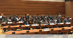 LDCs/SIDS Delegates,  Beneficiaries of the  LDCs/SIDS Trust Fund, 29th session of the Human Rights Council
