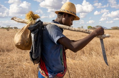 Молодой мужчина, несущий сельскохозяйственные инструменты, покидает свою деревню, чтобы помочь соседней деревушке. Беракета, южный район Катрафи, Мадагаскар, октябрь 2019 г. Reuters/Marion Joly/Hans Lucas