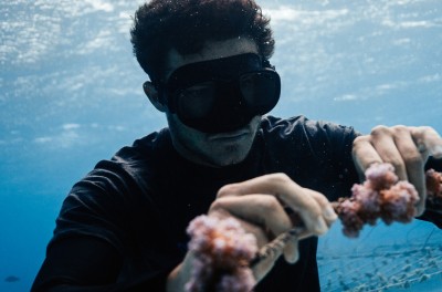 تيتوان بيرنيكو تحت المياه في إحدى حضانات المرجان التي أنشأها. ريان يورن