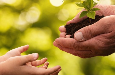 Primer plano de unas manos de una persona mayor dando una pequeña planta a un niño. @ Getty Images