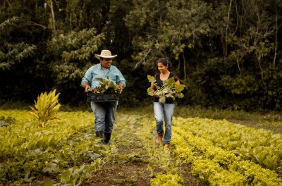 Двое фермеров идут по плантации. © Getty/Amanda Caroline da Silva
