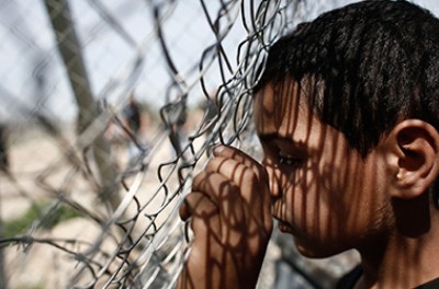 A young boy looks through a fence
