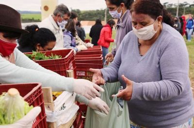 巴西一农民组织向受到大流行病影响的民众发放四吨食物。©路透社