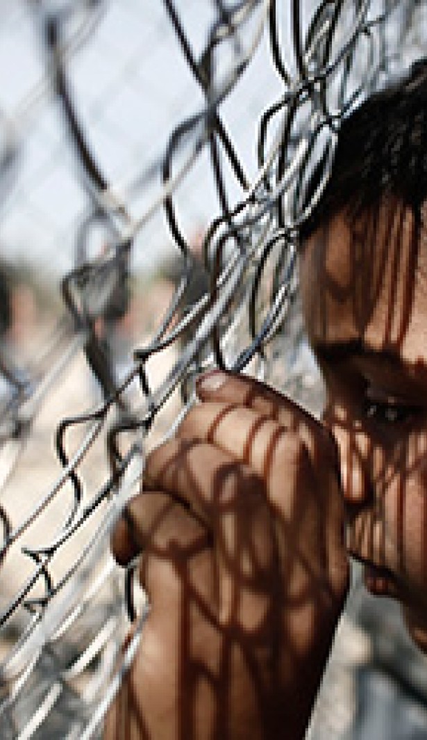 A young boy looks through a fence