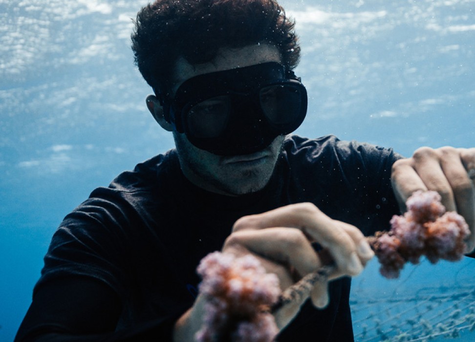 Титуан Бернико под водой, в одном из своих коралловых питомников. RYAN BORNE
