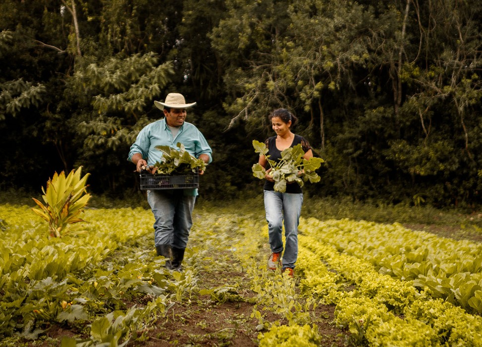 一对农民夫妇行走在种植园的中央地带。© 盖帝图像／Amanda Caroline da Silva