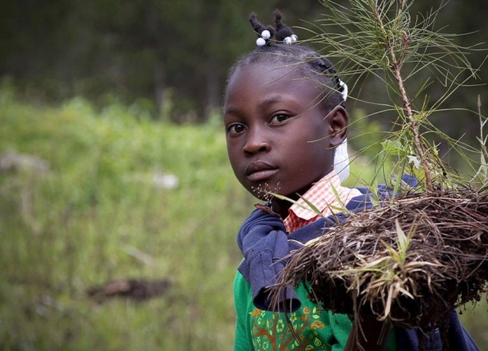 一名女童扛着一棵幼苗去栽种。特别报告员呼吁理事会通过一项承认健康环境权的决议。©联合国联海稳定团 / 洛根·阿巴西（Logan Abassi）