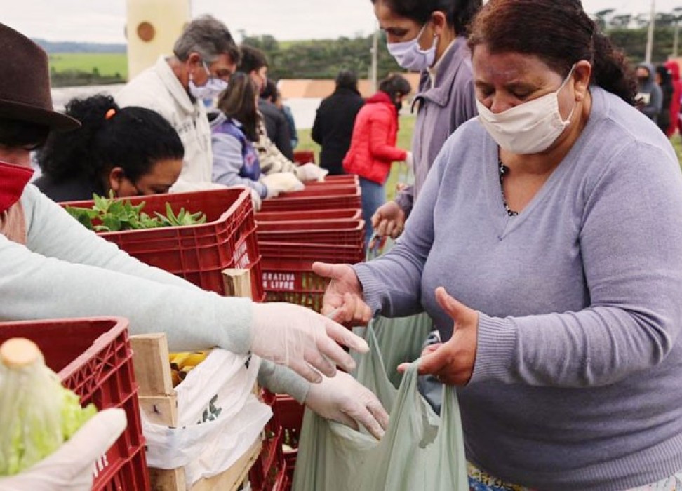 巴西一农民组织向受到大流行病影响的民众发放四吨食物。©路透社
