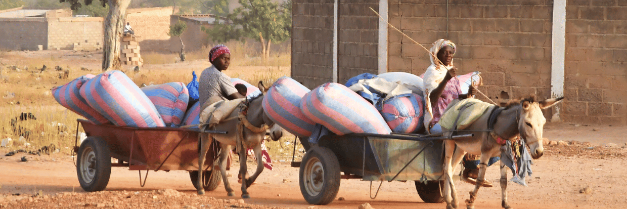 Mujeres desplazadas, que huyeron de los ataques de militantes armados en la ciudad de Roffenega, montan en carros tirados por burros cargados de ayuda alimentaria en la ciudad de Pissila, Burkina Faso 23 de enero de 2020 © REUTERS/Anne Mimault