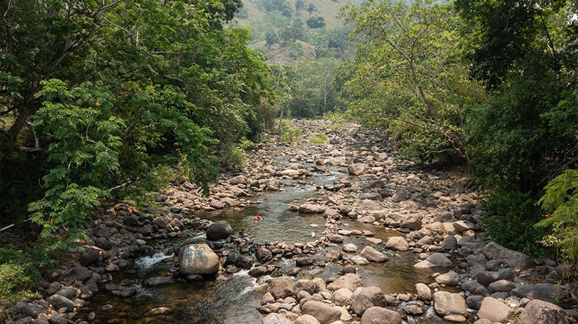 A stream in the middle of the jungle