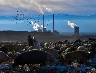 A woman collects plastic bottles while pigs feed at a landfill site in front of the biggest thermal power station near Bitola, North Macedonia, 06 December 2018. © EPA-EFE/GEORGI LICOVSKI