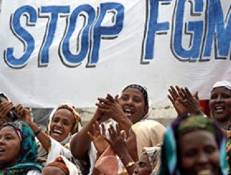 FGM_hp