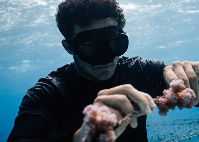 Titouan Bernicot, underwater in one of his coral nurseries. RYAN BORNE