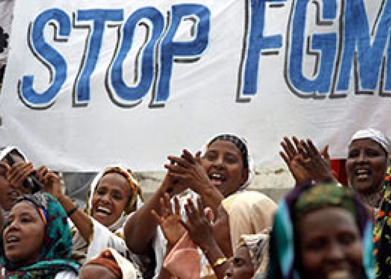 FGM_hp